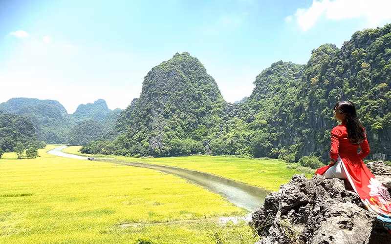 Mùa vẫn vàng rực ở Tam Cốc. Ảnh: Lê Hồng.