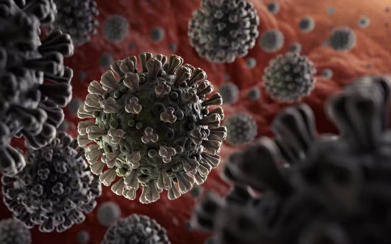 Ảnh minh họa virus SARS-CoV-2. (Nguồn: WHO)