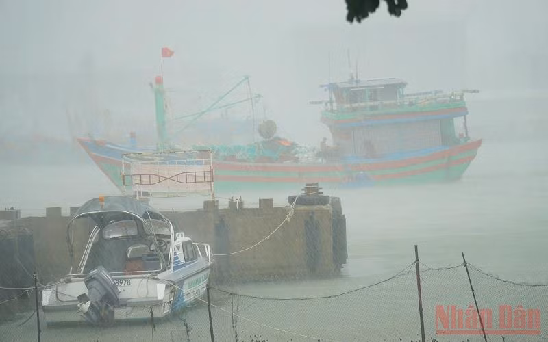 Đà Nẵng kiểm soát chặt chẽ việc ngư dân vào tránh trú bão tại âu thuyền Thọ Quang -0