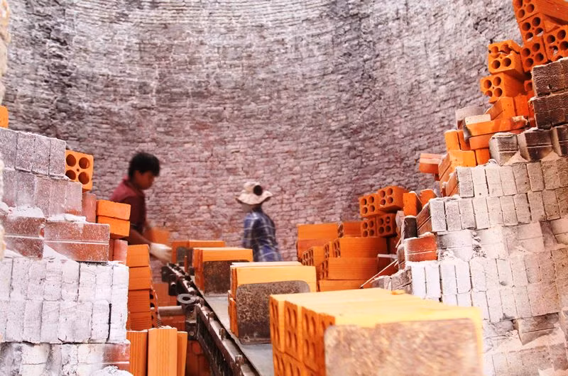 Đánh thức tiềm năng “Vương quốc đỏ Vĩnh Long” ảnh 3 Đánh thức tiềm năng “Vương quốc đỏ Vĩnh Long” -1