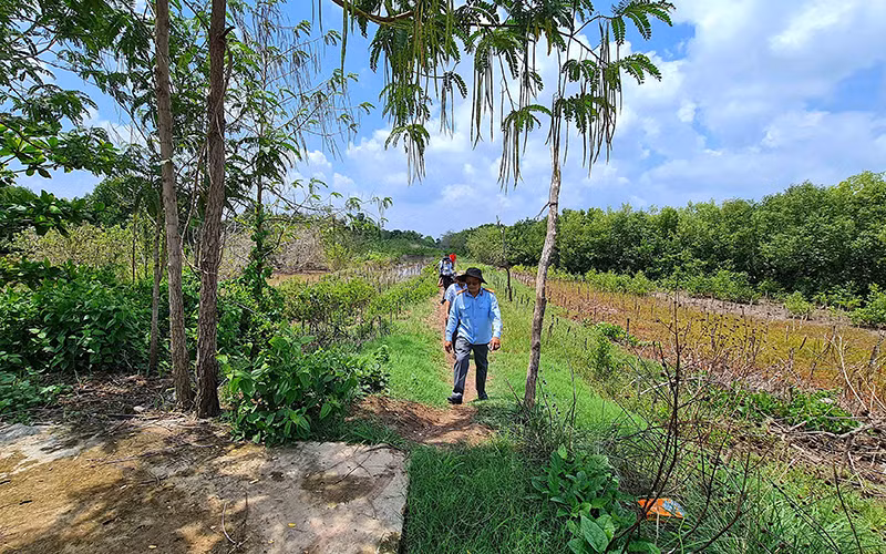 Đê biển Cà Mau lún dần xuống biển -0