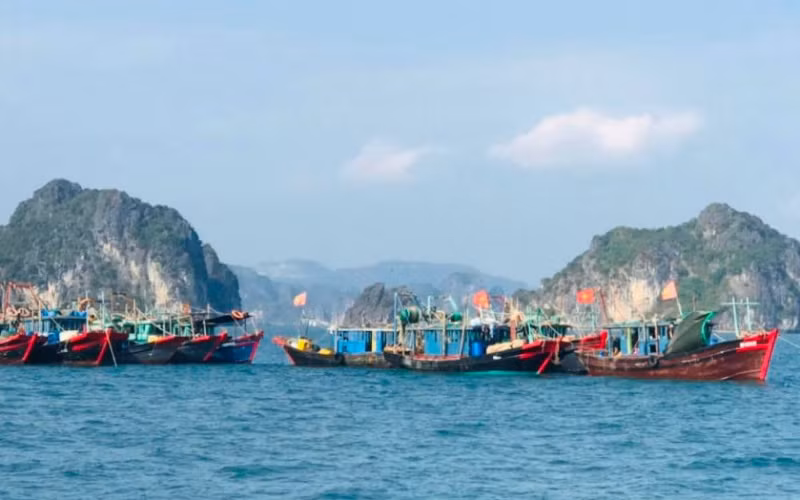 Khu vực vùng biển xảy ra vụ việc.