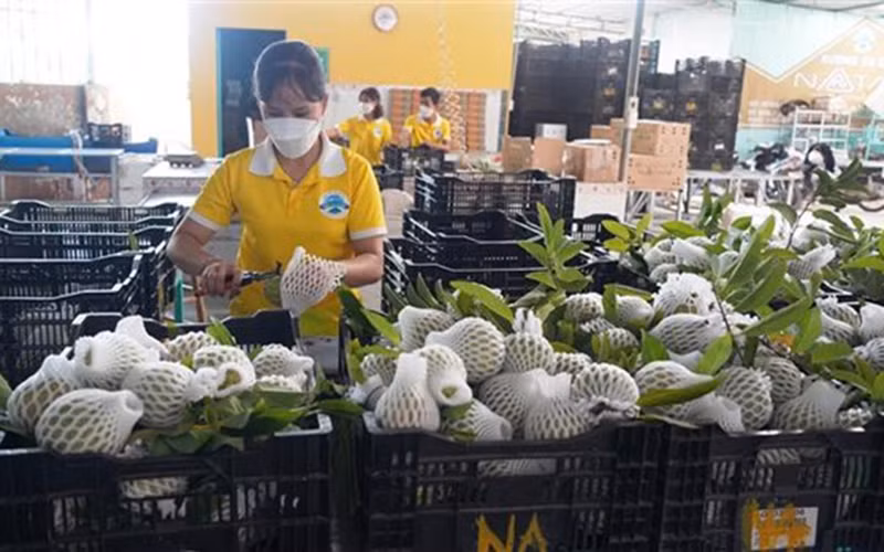 Nhiều doanh nghiệp của Ai Cập rất quan tâm đến các mặt hàng nông sản, thủy sản, dược mỹ phẩm... của Việt Nam.