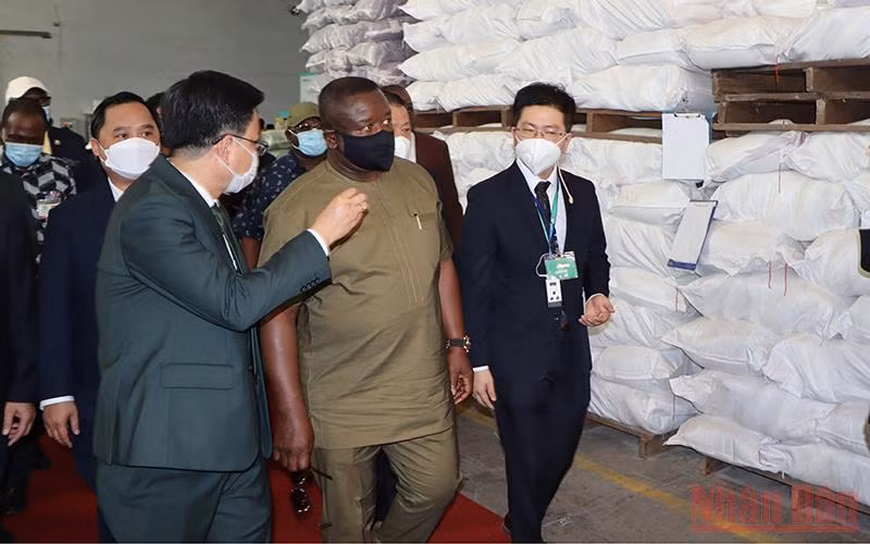 Đoàn Tổng thống nước Cộng hòa Sierra Leone tham quan nhà máy gạo Angimex tại thành phố Long Xuyên.