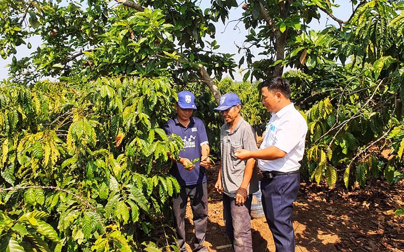 Hiệu quả từ cuộc vận động vươn lên thoát nghèo bền vững ở Kon Tum -0