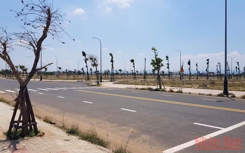 Khởi tố, bắt tạm giam đối tượng trúng đấu giá mua sỉ 262 lô đất tại Phú Yên vì tội trốn thuế -0
