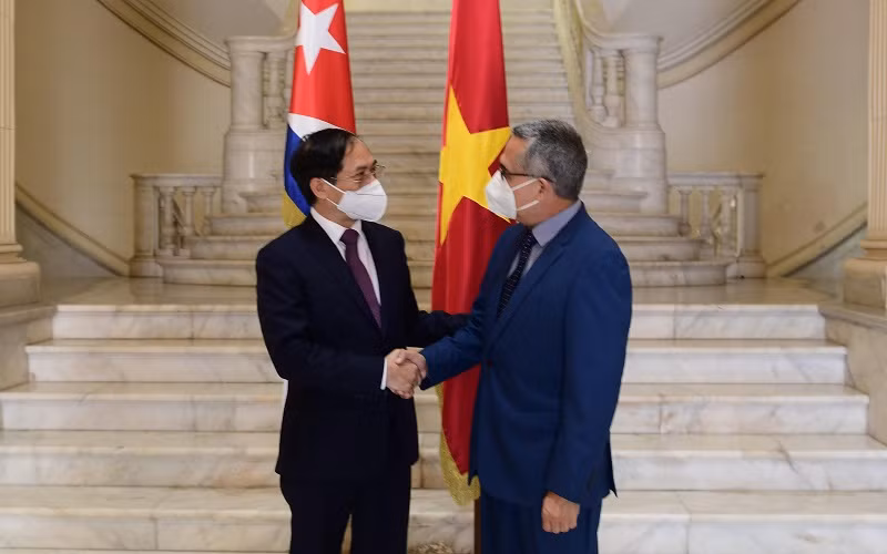 Bộ trưởng Ngoại giao Bùi Thanh Sơn và Quyền Bộ trưởng Ngoại giao Cuba Marcelino Medina. (Ảnh: Bộ Ngoại giao)
