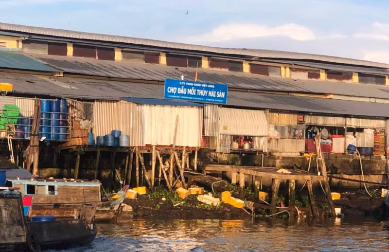 Chợ đầu mối thủy hải sản được xác định có nhiều vi phạm từ việc xả thải trực tiếp ra sông Hậu.