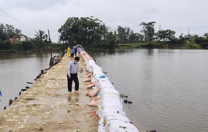 Nước lũ cuốn trôi đập ngăn mặn ở Quảng Nam -0
