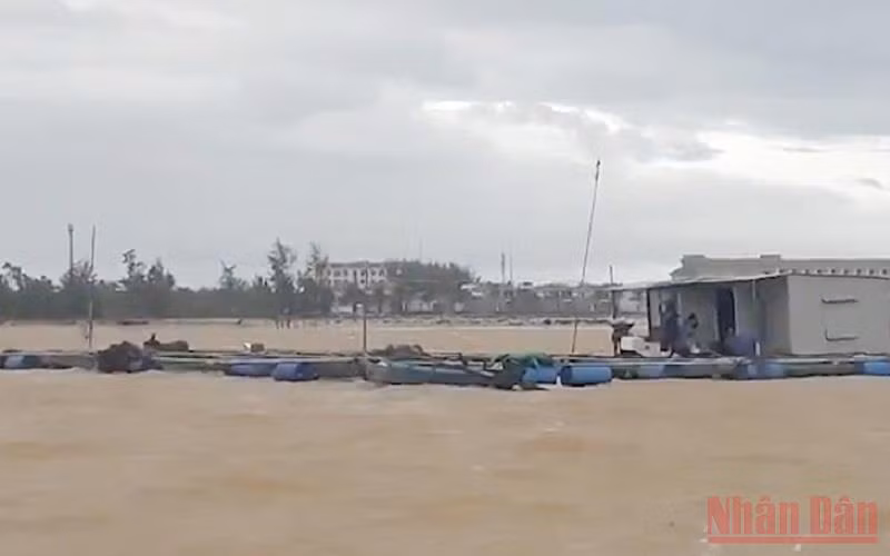 Nhiều lồng bè nuôi cá nguy cơ bị nước cuốn trôi.
