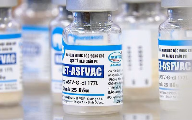 Vaccine phòng dịch tả lợn châu Phi. (Ảnh TTXVN)