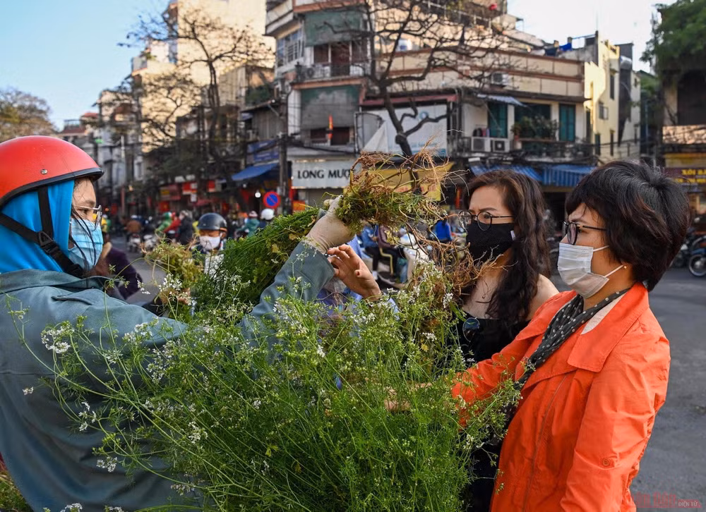 5_pho_co_Ha_NOi-1613017328367.jpg