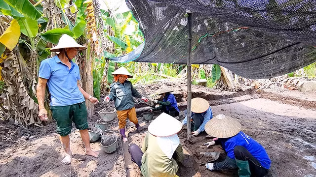 Hố khai quật khảo cổ lần thứ 10 ở Vườn Chuối.