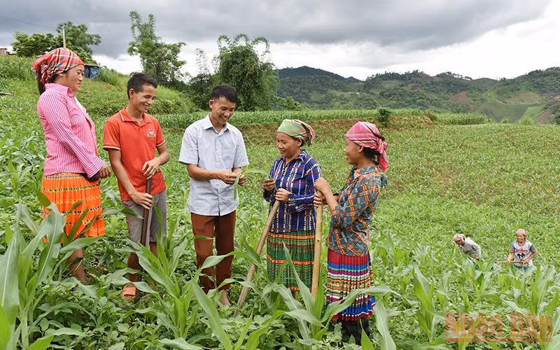 Hướng dẫn người dân bản Tà Han, xã Xuân Lạc, huyện Chợ Đồn, Bắc Kạn, trồng ngô năng suất cao. (Ảnh minh họa: Trần Hải)