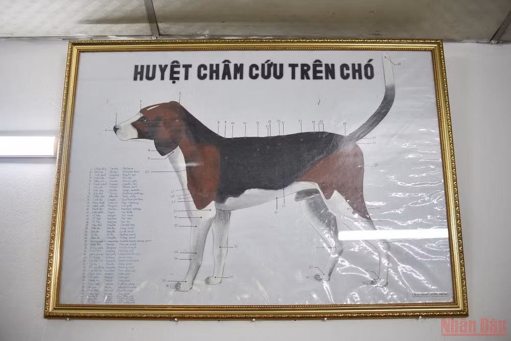 Những 