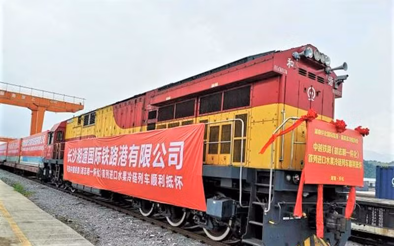 Chuyến tàu liên vận chở 230 tấn thanh long Việt Nam đến Khu Logistics tây Hoài Hóa, Hồ Nam. (Ảnh: Chinanews.com)
