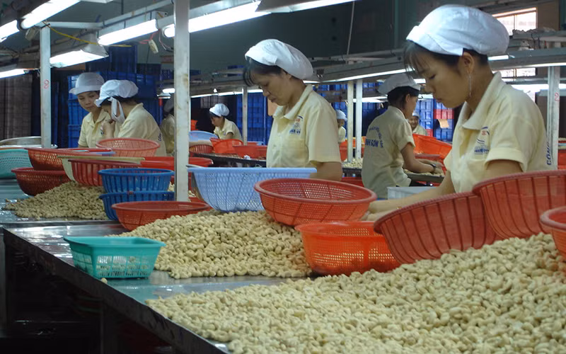 Doanh nghiệp gặp khó trong tìm đơn hàng xuất khẩu hàng hóa.