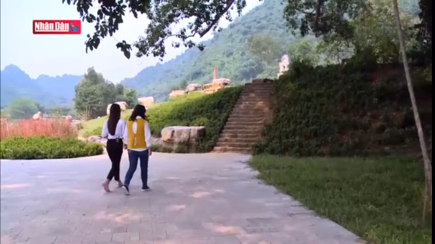 Độc đáo cây đa di chuyển