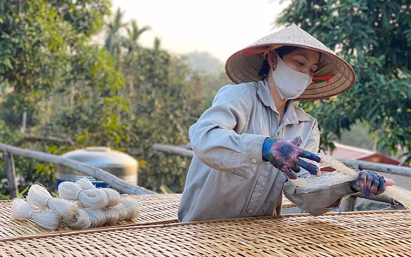 Sản phẩm OCOP miến của Hợp tác xã miến đao Giới Phiên, thôn Ngòi Đong, xã Giới Phiên (TP Yên Bái).