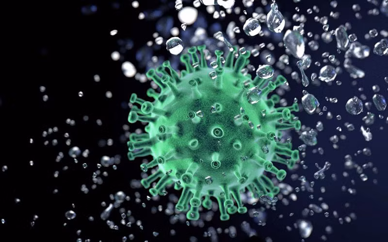 Virus SARS-CoV-2 (Ảnh: PIXABAY)
