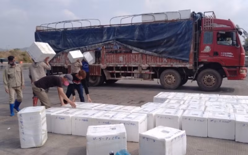 Hàng nông sản xuất khẩu qua cửa khẩu Móng Cái tăng mạnh -0