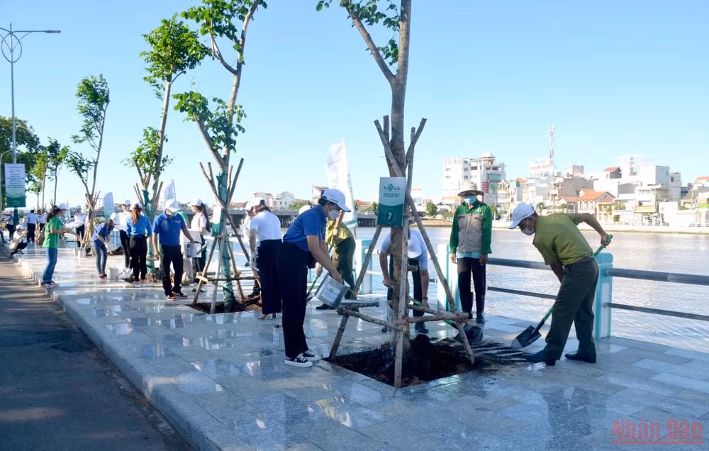 Trồng cây xanh trên tuyến đường dọc bờ sông Cà Ty, thành phố Phan Thiết.