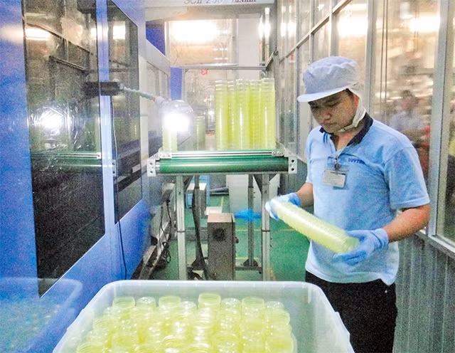 Hoạt động sản xuất tại Công ty cổ phần sản xuất nhựa Duy Tân, quận Bình Tân.