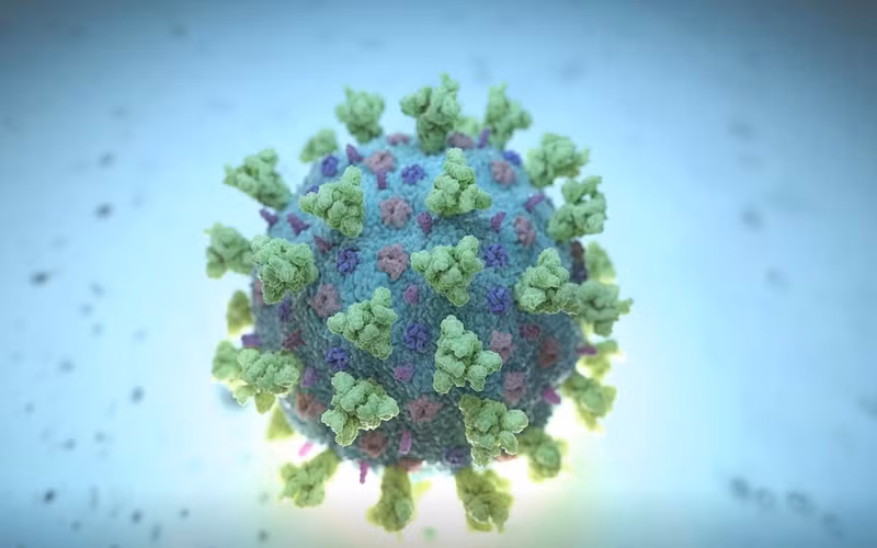 Hình ảnh mô phỏng Betacoronavirus. (Ảnh: Reuters)