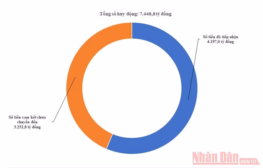 Đồ họa: Giang Khôi