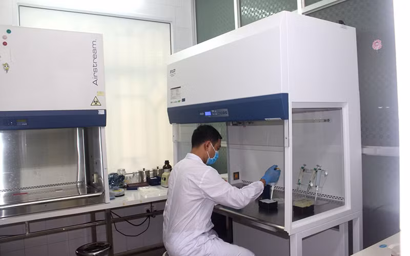 Lấy mẫu trên diện rộng toàn bộ thị xã Kinh Môn, Hải Dương