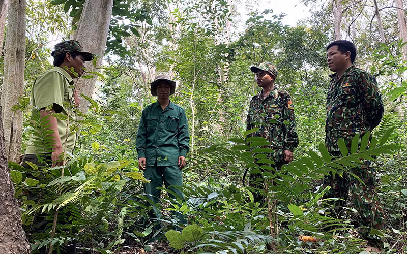 Ngoài áp lực công việc, còn nguyên nhân thu nhập thấp và công việc đối mặt với nguy hiểm tới tính mạng khiến nhiều cán bộ Kiểm lâm xin nghỉ việc, chuyển công tác khác.