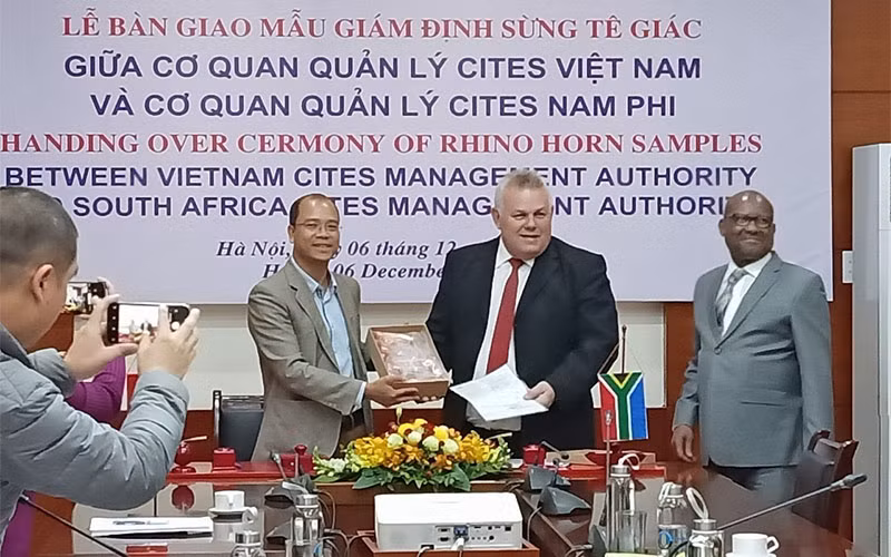 Bàn giao mẫu giám định sừng tê giác giữa cơ quan quản lý Cites Việt Nam và Cơ quan quản lý Cites Nam Phi.