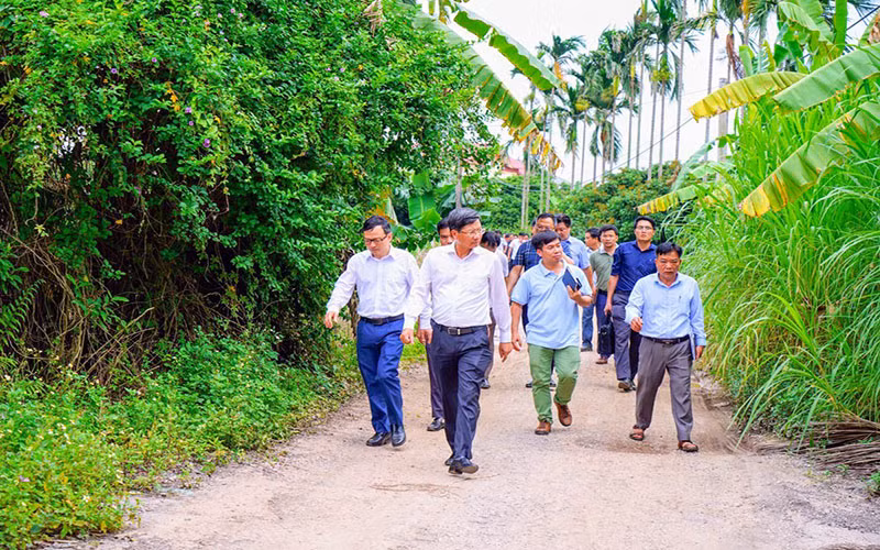 Lãnh đạo Ủy ban nhân dân thành phố Hải Phòng cùng các ngành chức năng thị sát, kiểm tra việc quản lý, sử dụng đất đai tại Công ty nông nghiệp Quý Cao. (Ảnh: Cổng TTĐT Hải Phòng)