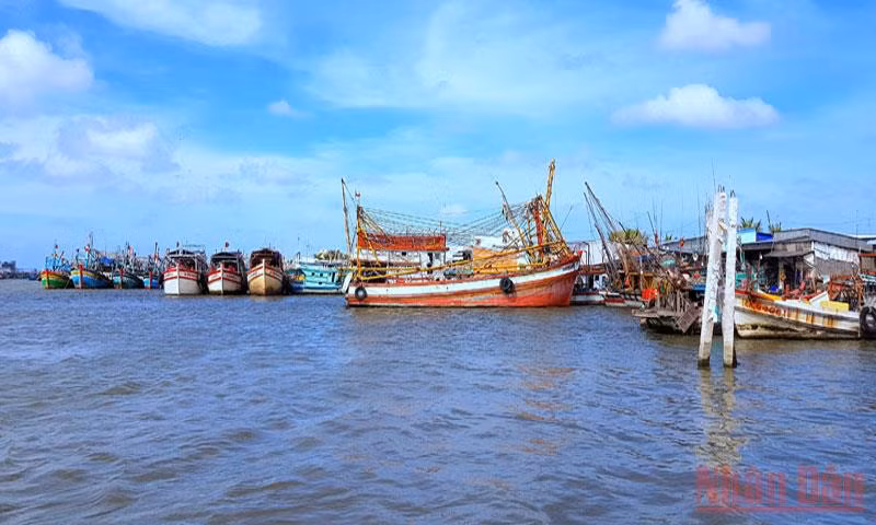 Tàu cá neo đậu tránh bão ở miền biển Sông Đốc, huyện Trần Văn Thời, tỉnh Cà Mau. 