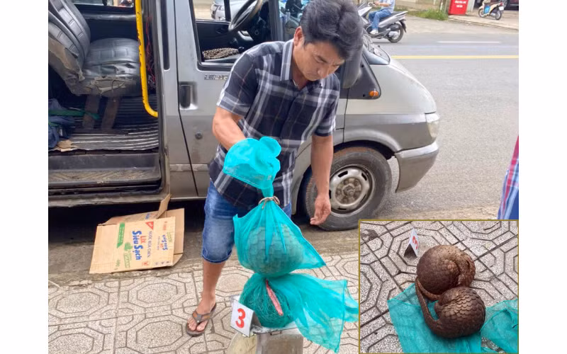 Lái xe cùng tang vật vụ việc.