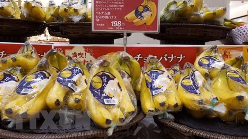 Chuối Việt Nam được bày bán tại siêu thị AEON Lake Town ở tỉnh Saitama, Nhật Bản. (Ảnh: TTXVN)