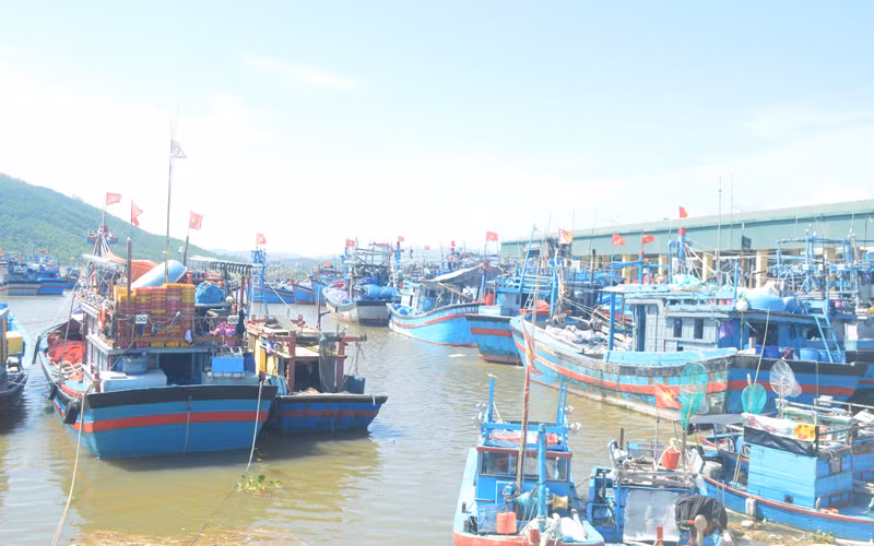 Các cảng cá, bến cá trên địa bàn Quảng Ngãi hoạt động trở lại. 