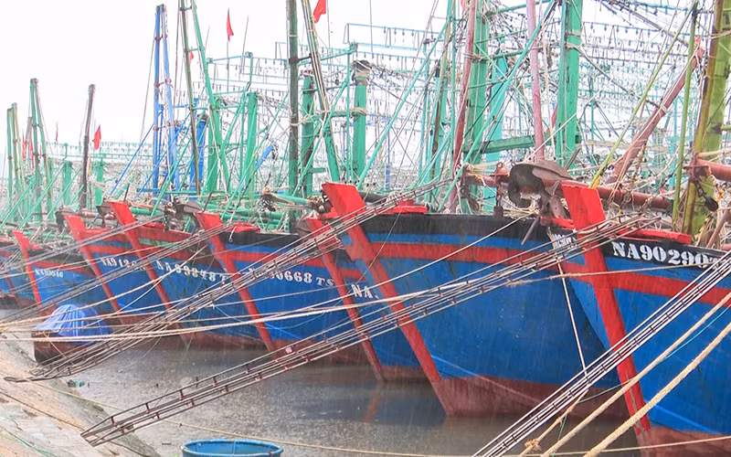 Tàu thuyền neo đậu tránh trú mưa bão tại huyện Quỳnh Lưu.