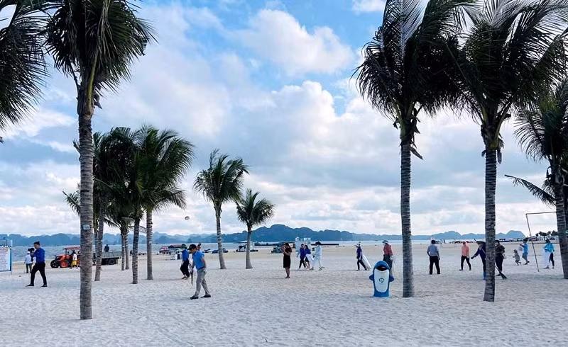 Ngày 29-5, Sở Du lịch Quảng Ninh tổ chức Lễ ra quân hưởng ứng Ngày Môi trường thế giới 5-6. Ảnh: Báo Tài nguyên và môi trường.