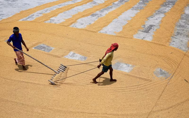Ảnh minh họa. (Nguồn: Reuters)