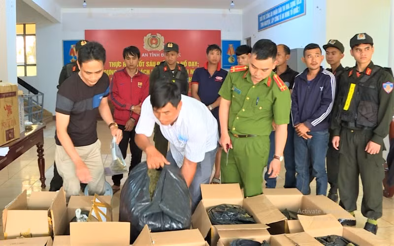 Ngoài số cần tươi, lực lượng Công an còn phát hiện 80kg cần sa khô được các đối tượng đóng trong thùng chuẩn bị đưa đi tiêu thụ.