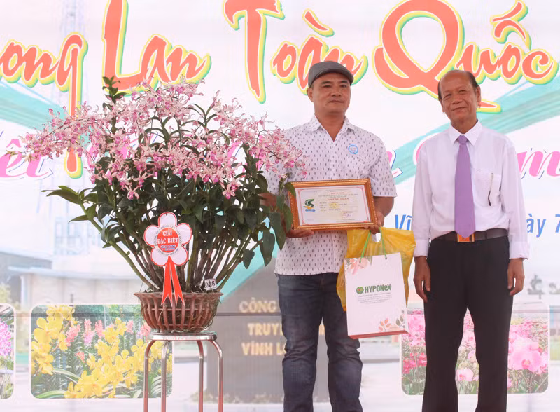 Rực rỡ sắc màu hoa phong lan toàn quốc -0