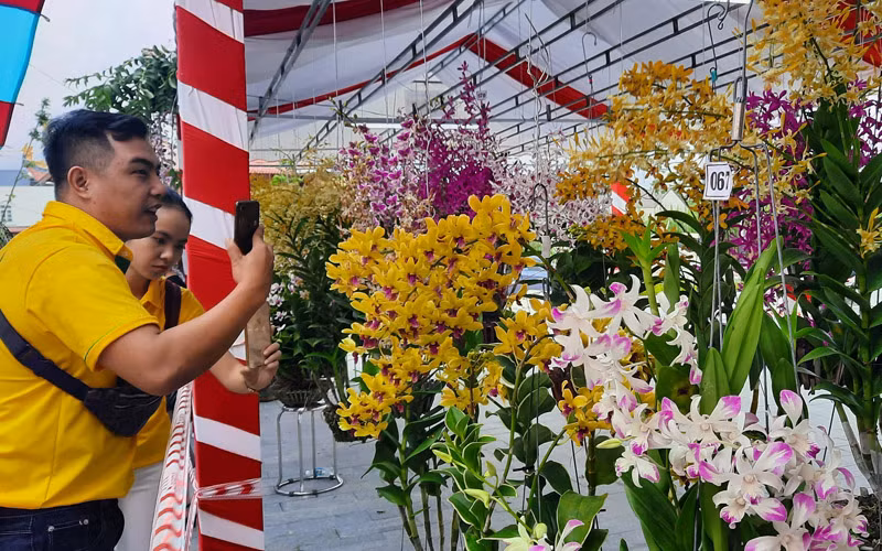 Đông đảo người dân địa phương và khách du lịch đến thưởng thức vẻ đẹp của những giò hoa từ khắp mọi miền Tổ quốc.   