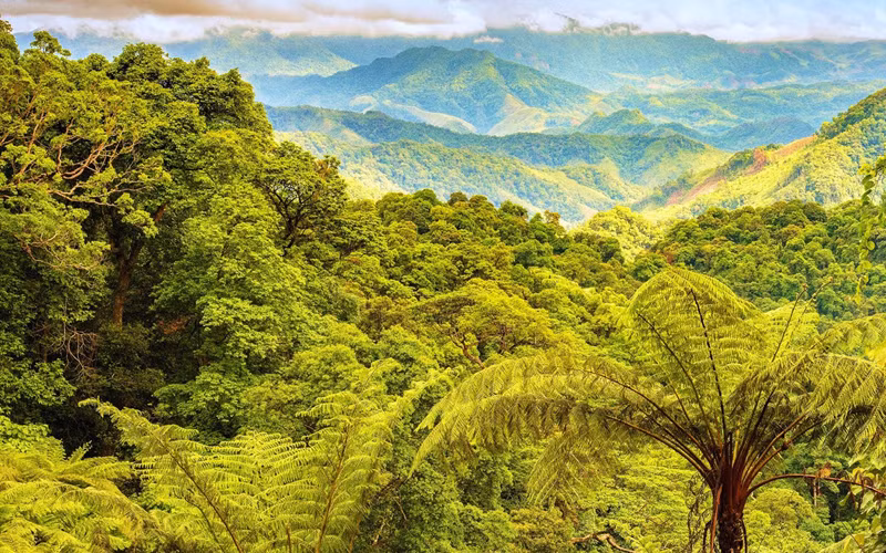 Phong Nha – Kẻ Bàng: Một trong 39 điểm đến cho năm 2022 -0