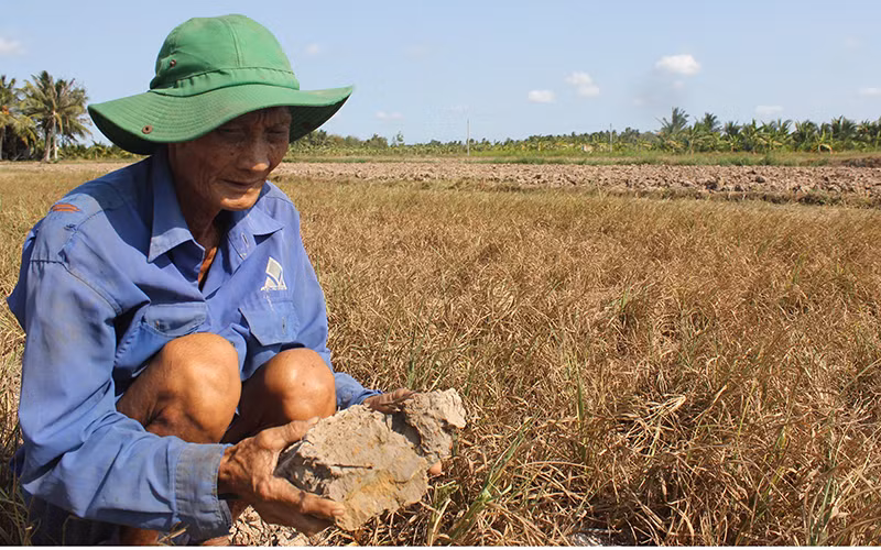 Liên kết để thích ứng an toàn với hạn, mặn -0