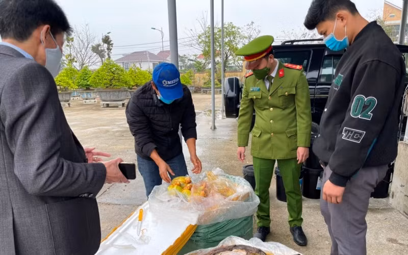 Lực lượng Cảnh sát môi trường, Công an tỉnh Thừa Thiên Huế phát hiện, bắt giữ lô hàng nội tạng không rõ nguồn gốc vận chuyển qua địa bàn.