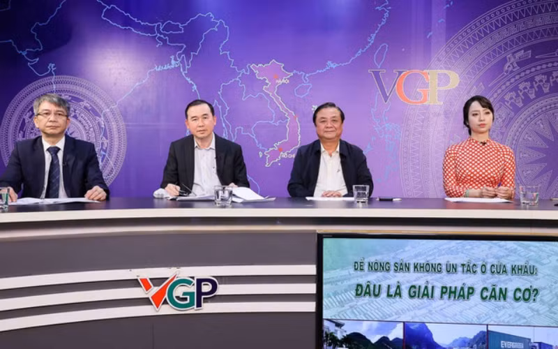 Tọa đàm trực tuyến "Để nông sản không ùn tắc ở cửa khẩu: Đâu là giải pháp căn cơ?". (Ảnh: VGP)