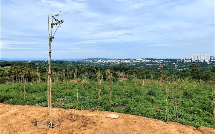 Xử phạt trường hợp xây dựng trái phép trong khu quy hoạch đất rừng cảnh quan ở TP Buôn Ma Thuột -0
