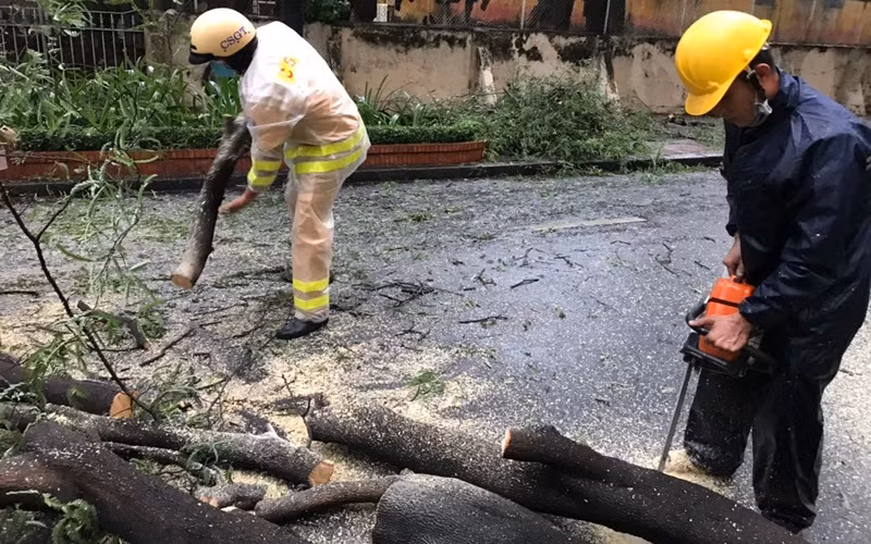 Cảnh sát giao thông cùng nhân viên Công ty Cây xanh thành phố kịp thời có mặt, xử lý sự cố cây xanh gãy đổ.