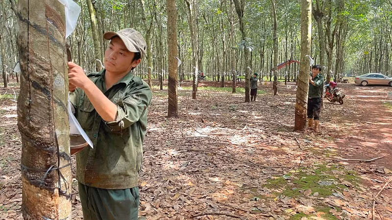 Chăm lo đời sống công nhân dân tộc thiểu số -0